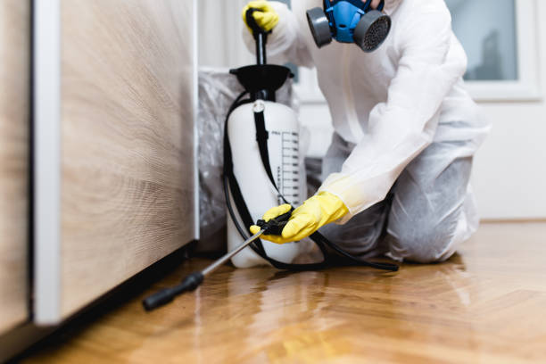 Best Commercial Pest Control Services  in Hatch, NM