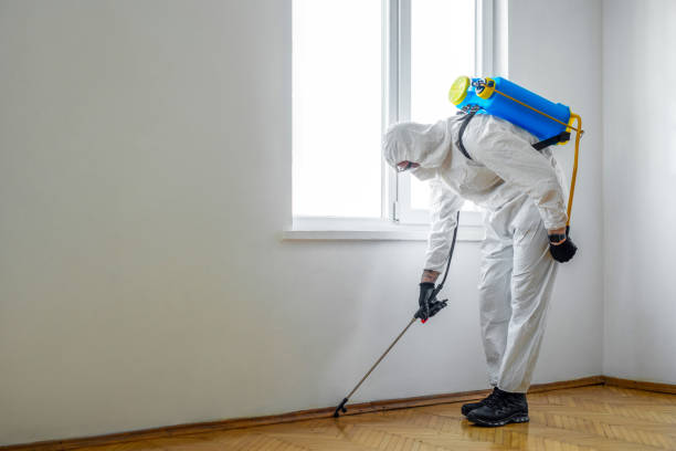 Trusted Hatch, NM Pest Control Experts