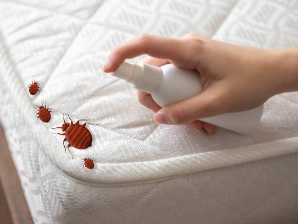 Best Residential Pest Control  in Hatch, NM
