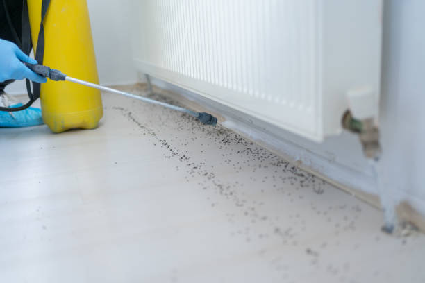 Best Pest Removal Services  in Hatch, NM
