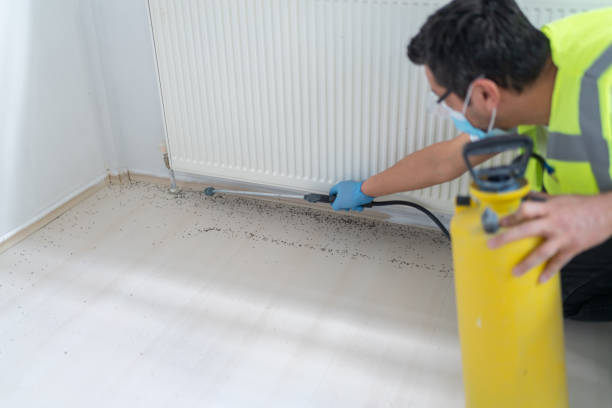 Best Mosquito Control Services  in Hatch, NM